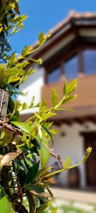 La Casa 44, Con Spa Opcional Sariego Zewnętrze zdjęcie